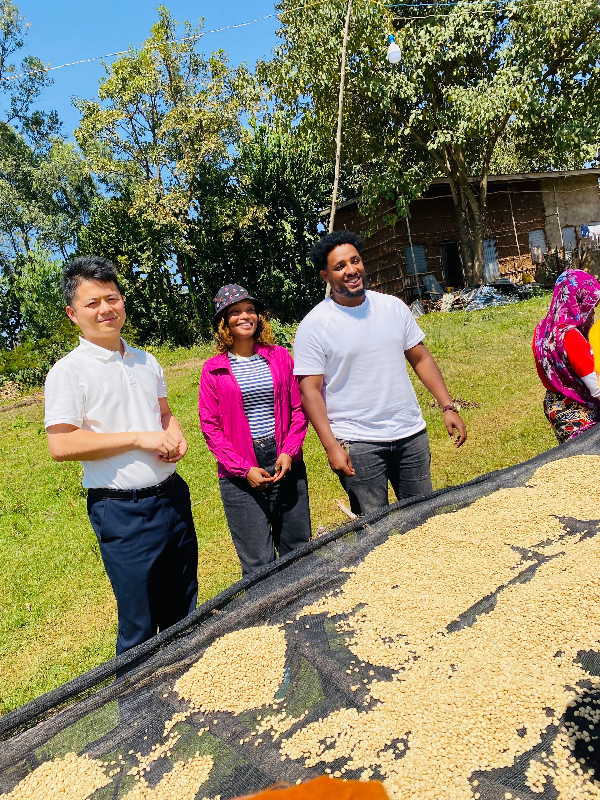 Export-Ready Coffee