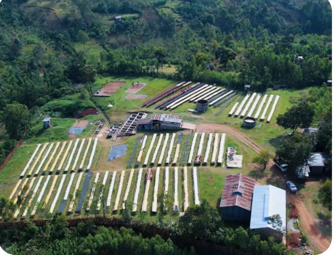 Natural Processing